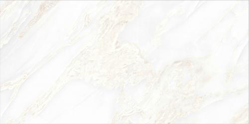 WHITEONIX-2