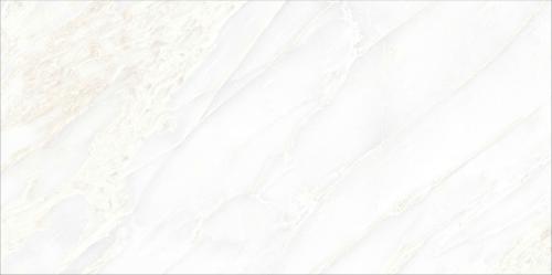 WHITEONIX-5