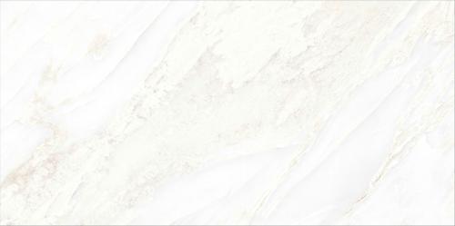 WHITEONIX-6