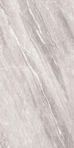 ASSINS GREY-6