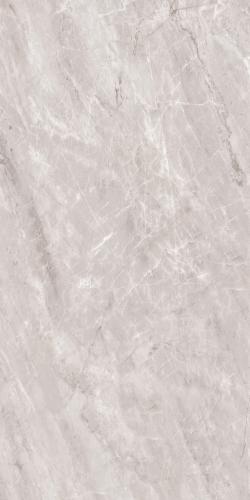 ASSINS GREY-7