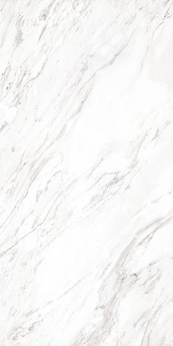 ARISTON WHITE-1