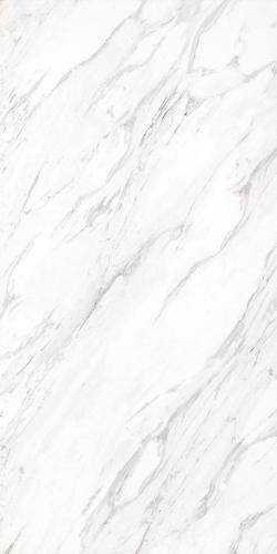 ARISTON WHITE-2