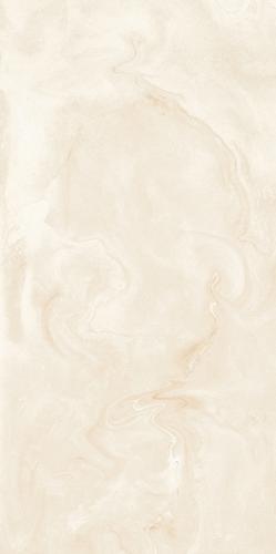 Argentina Oyster Grey-1