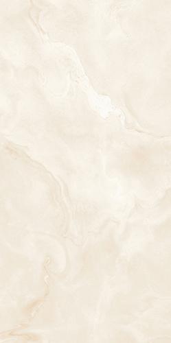 Argentina Oyster Grey-3