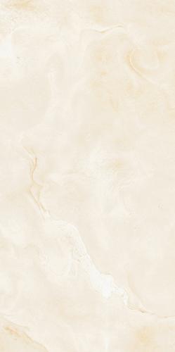 Argentina Oyster Grey-4