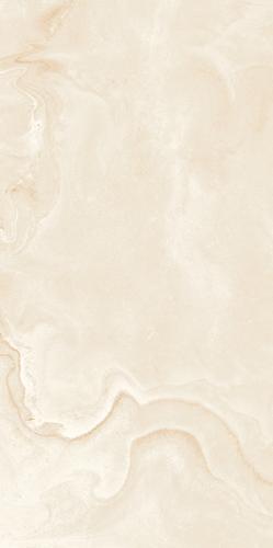 Argentina Oyster Grey-5