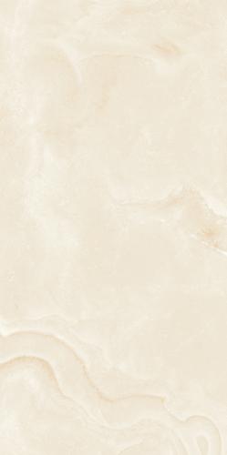 Argentina Oyster Grey-6