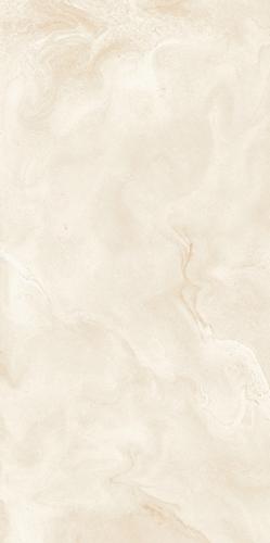 Argentina Oyster Grey-8