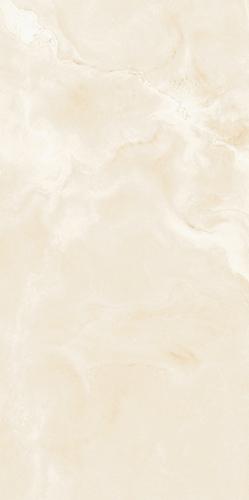 Argentina Oyster Grey-10