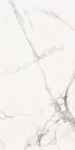 OLYMPIA WHITE TILE 4