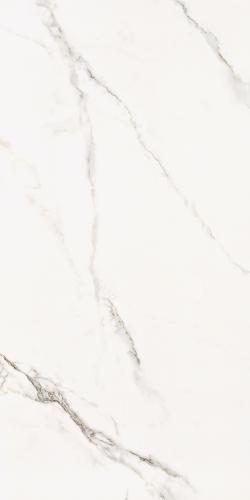 OLYMPIA WHITE TILE 5