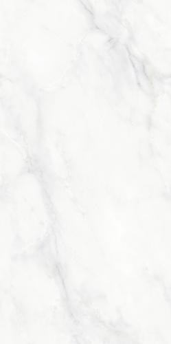 BIANCO RHINO TILE 1