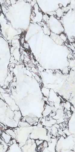 CALACATTA VIOLA  TILE 1