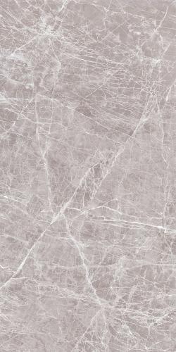 CLAROS GREY LIGHT 1
