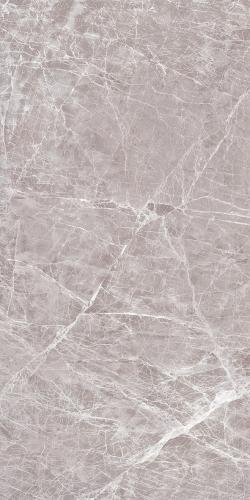 CLAROS GREY LIGHT 2