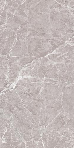 CLAROS GREY LIGHT 4